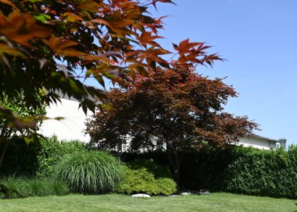 PS6_6540-2048x1365-1