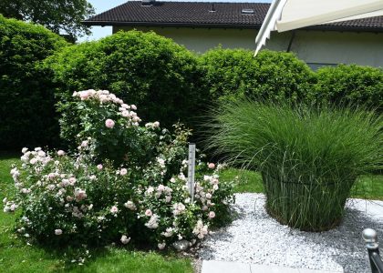 PS6_6652-2048x1365-1