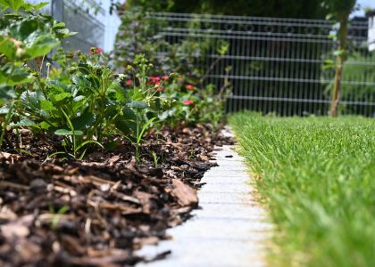 PS6_6616-2048x1365-3