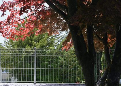 PS6_6618-2048x1365-1