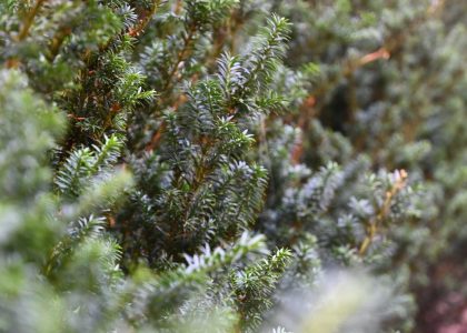 PS6_6587-2048x1365-1