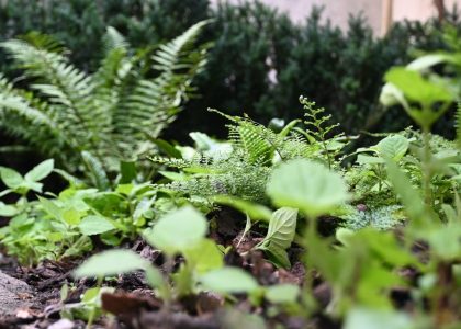 PS6_6590-2048x1365-1