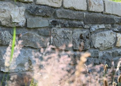 PS6_6951-2048x1365-1