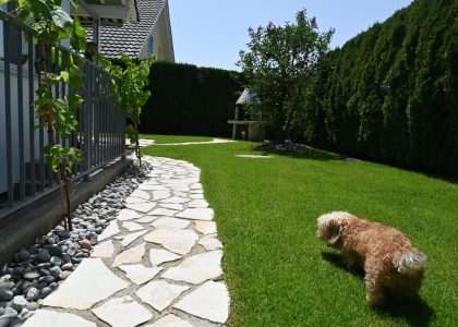 PS6_6782-2048x1365-1