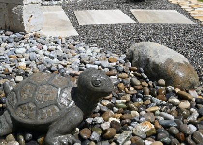 PS6_6792-2048x1365-1