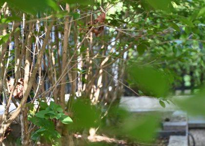 PS6_6861-2048x1365-2