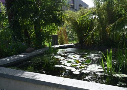 PS6_6878-2048x1365-1