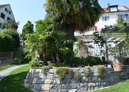 PS6_6879-2048x1365-1