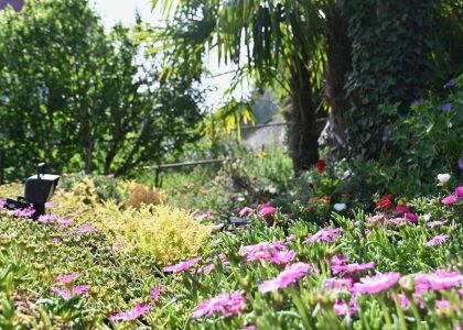 PS6_6884-2048x1365-1