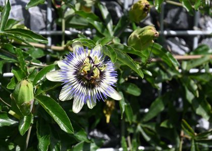 PS6_6892-2048x1365-1