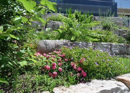 PS6_6693-2048x1365-1