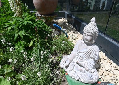 PS6_6711-1-2048x1365-1