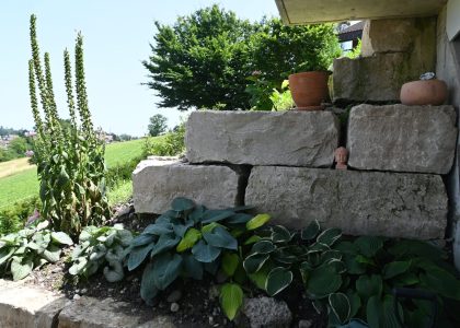 PS6_6716-1-2048x1365-1